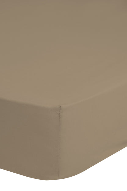 Hoeslaken Good Morning Uni - Katoen Jersey - Lits jumeaux 180x220 cm