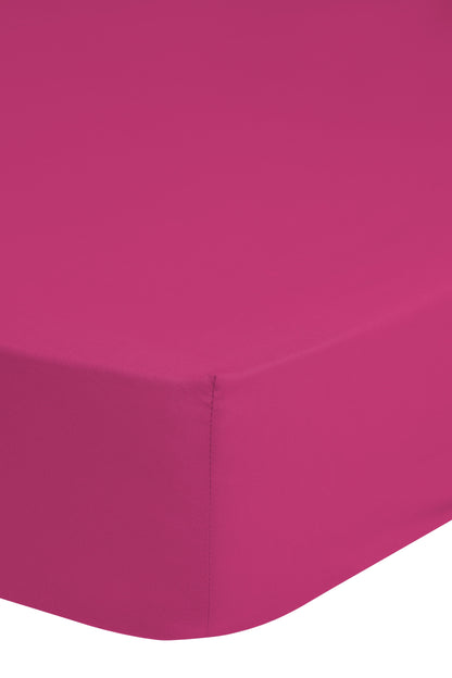 Hoeslaken Good Morning Uni - Katoen Jersey - Lits jumeaux 200x220 cm